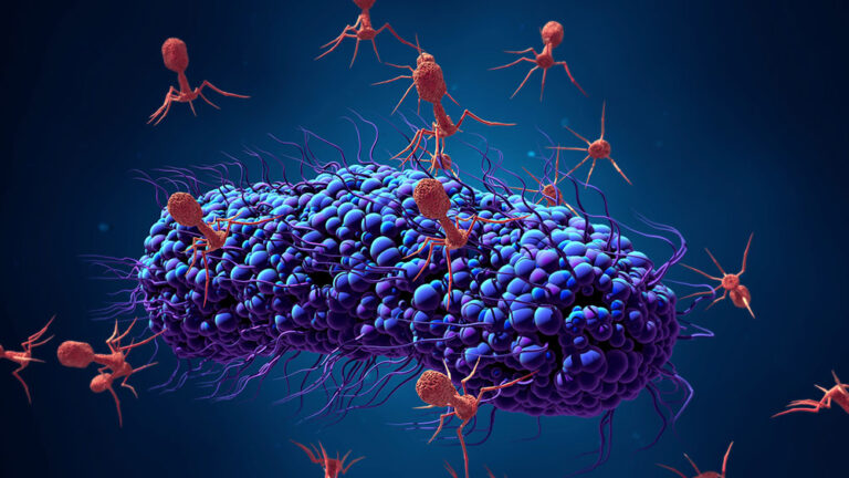 differenze-batteri-e-virus